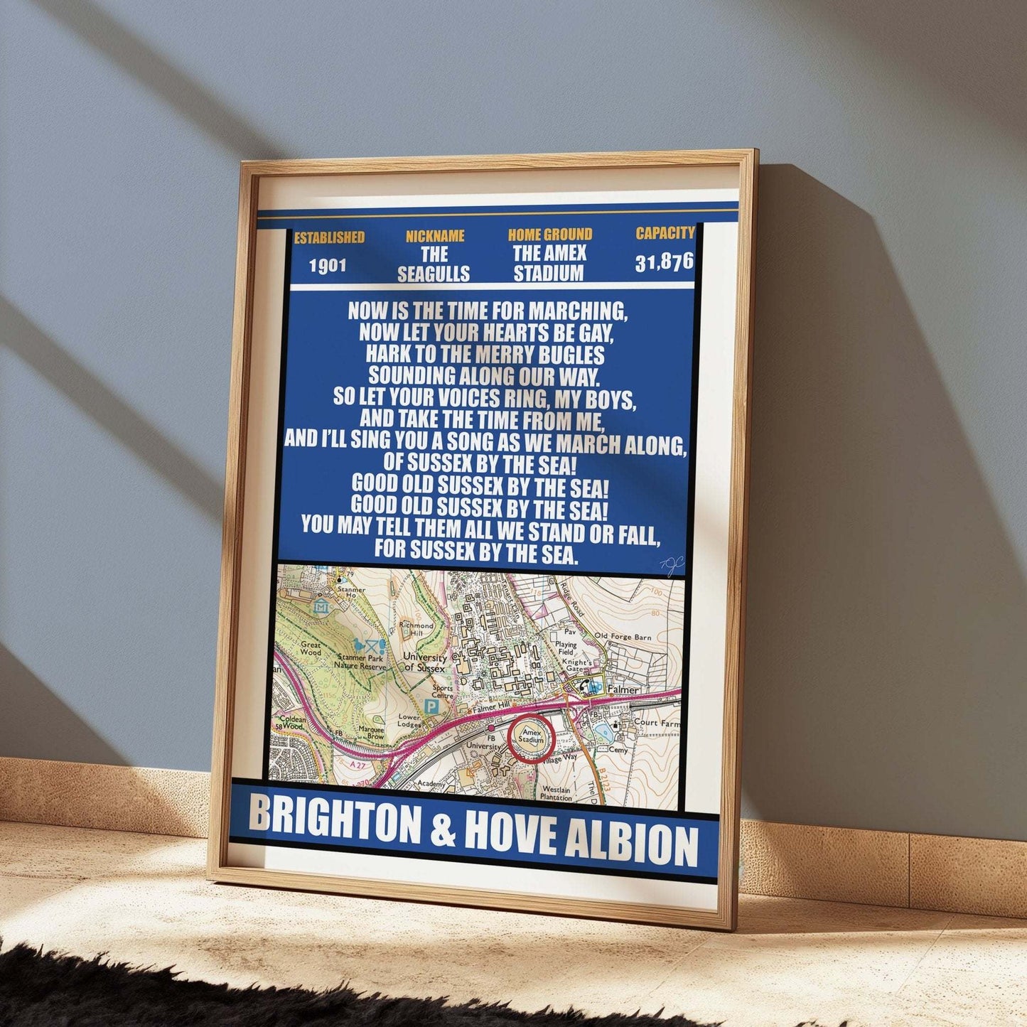 Brighton & Hove Albion Stadium print - Striped Circle