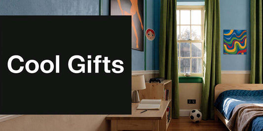 Cool gifts for teenage boys that don't suck collection display
