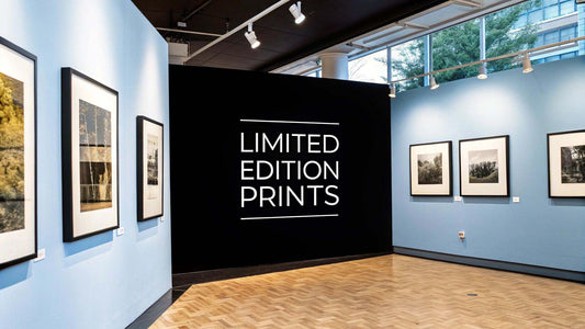 Prints Limited Edition: Your Unofficial Guide to Seriously Cool Wall Art