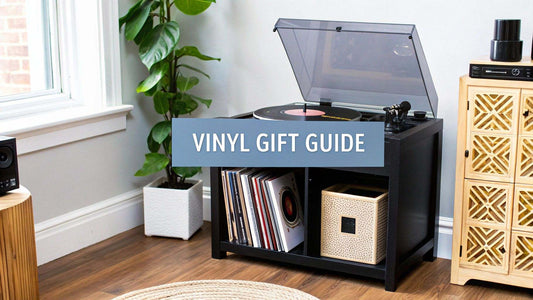 Gifts for vinyl collectors ultimate guide with vinyl records and accessories on wooden table